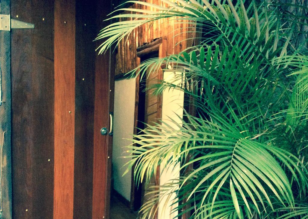 Canto Do Buganville イーリャ・グランデ エクステリア 写真
