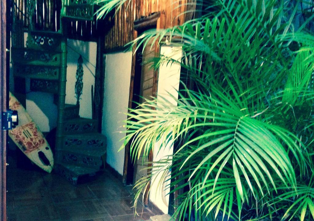 Canto Do Buganville イーリャ・グランデ エクステリア 写真